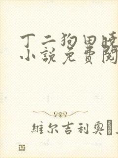 丁二狗田晓兰的小说免费阅读