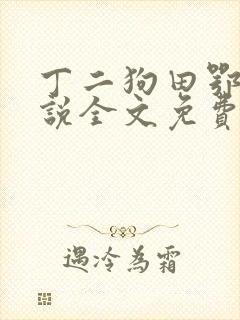 丁二狗田鄂茹小说全文免费阅