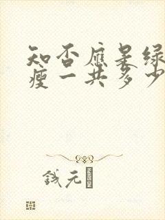 知否应是绿肥红瘦一共多少集