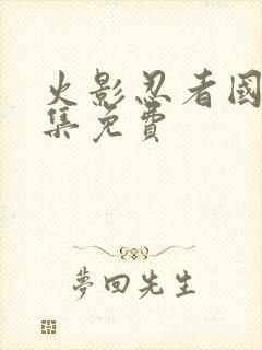 火影忍者国语全集免费封面