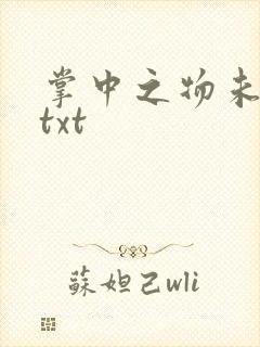 掌中之物未删减txt