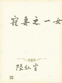 宠妻之一女二夫