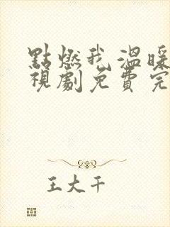 点燃我温暖你电视剧免费完整版观看高清封面