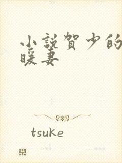 小说贺少的闪婚暖妻