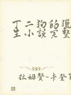 丁二狗的猎艳人生小说完整版