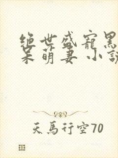 绝世盛宠黑帝的呆萌妻 小说