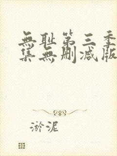 无耻第三季第四集无删减版封面