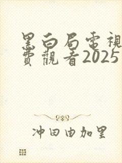 黑白局电视剧免费观看2025