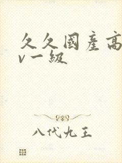 久久国产高清av一级