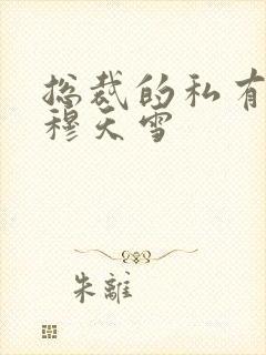 总裁的私有宝贝穆天雪