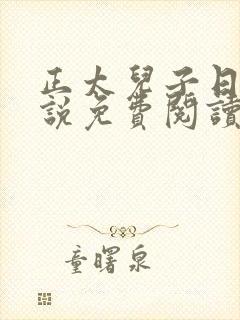 正太儿子日常小说免费阅读全文最新