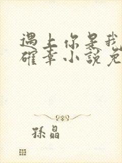 遇上你是我的小确幸小说免费阅读