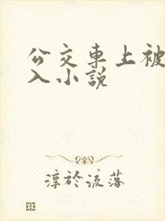 公交车上被后插入小说