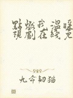 点燃我温暖你电视剧在线免费观看