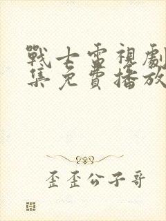 战士电视剧40集免费播放封面