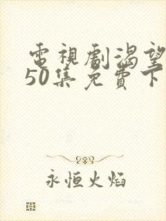 电视剧渴望1—50集免费下载观看