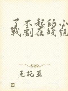 了不起的小姐谍战剧在线观看免费