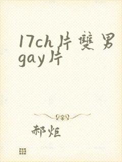 17ch片双男gay片