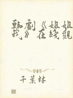 韩剧《姐姐别撩我》在线观看