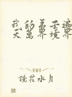 我的弟子遍布诸天万界境界划分封面