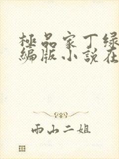 极品家丁绿帽改编版小说在哪里看