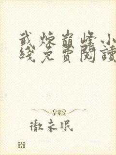 武炼巅峰小说在线免费阅读