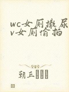 wc女厕撒尿tv女厕偷拍