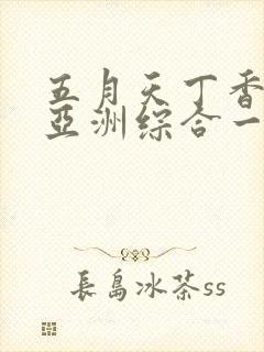 五月天丁香婷婷亚洲综合一区