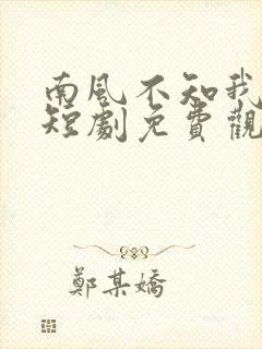 南风不知我情深短剧免费观看