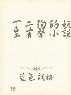 丁二狗的妖孽人生有声小说