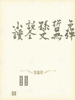 小说孙哲免费阅读全文无弹窗