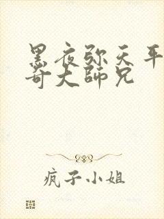 黑夜弥天平平无奇大师兄封面