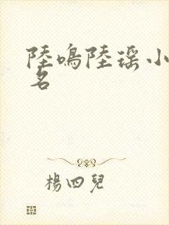 陆鸣陆瑶小说书名