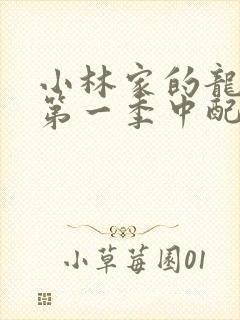 小林家的龙女仆第一季中配封面