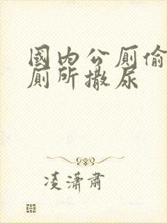 国内公厕偷拍女厕所撒尿