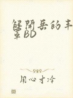 解开岳的丰满奶罩BD