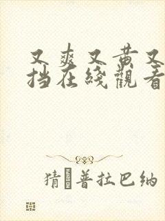 又爽又黄又无遮挡在线观看