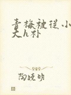 青梅被从小摸到大h补封面