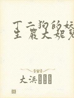 丁二狗的妖孽人生 严大妮儿 小说