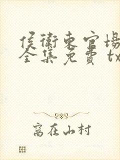 侯卫东官场笔记全集免费 txt 精校