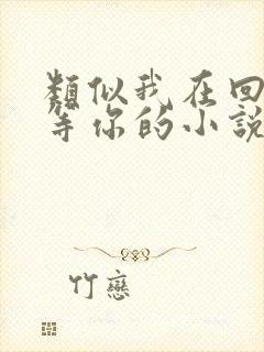 类似我在回忆里等你的小说封面