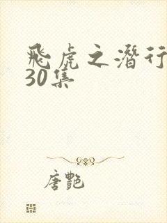 飞虎之潜行极战30集