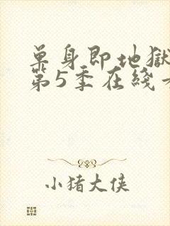 单身即地狱综艺第5季在线看