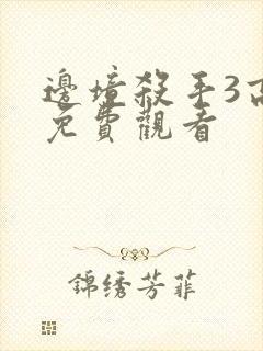 边境杀手3高清免费观看