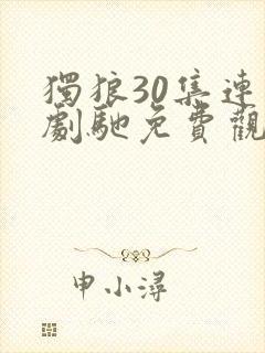 独狼30集连续剧驰免费观看封面