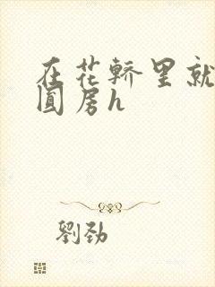 在花轿里就开始圆房h