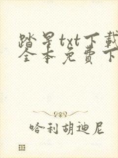 踏星txt下载全本免费下载