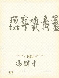 独宠娇妻墨子哲txt下载网盘