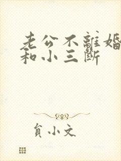 老公不离婚也不和小三断封面