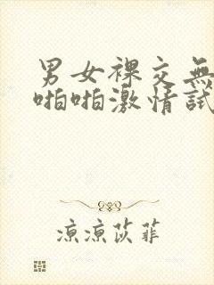 男女裸交无遮挡啪啪激情试看封面